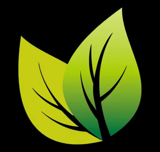 Yeşil düşünceyi simgeleyen yaprak